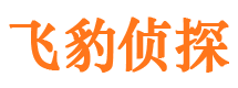 松潘市调查公司